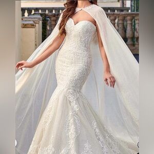 Rachel Allan Embroidered Lace Mermaid Wedding Gown with Cap EUC